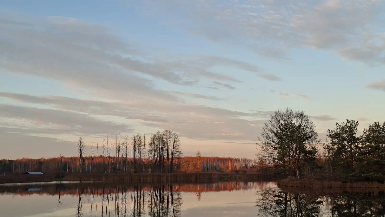 Zdjęcie przedstawia spokojny krajobraz jeziora w panoramie o proporcjach 16:9, uwieczniony w miękkim świetle zachodzącego słońca. Na pierwszym planie widoczna jest gładka tafla wody, w której idealnie odbijają się rosnące na brzegu drzewa oraz bezchmurne, jasne niebo. W tle rozciąga się pasmo lasu o jesiennym zabarwieniu, którego korony drzew są podświetlone ciepłym, pomarańczowym blaskiem. Po prawej stronie kadru znajduje się gęstsza grupa drzew, podczas gdy po lewej widoczne są smukłe, niemal bezlistne pnie, tworzące kontrastową linię na tle horyzontu. Całość kompozycji utrzymana jest w pastelowej kolorystyce błękitu i różu, co nadaje zdjęciu melancholijny i wyciszony charakter.