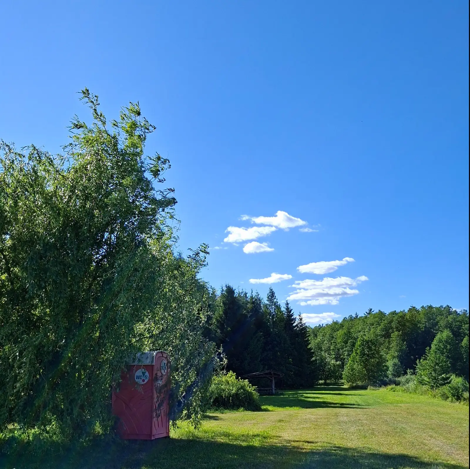 Zdjęcie wykonane w formacie kwadratu przedstawia letni, słoneczny krajobraz z wyraźnie zaznaczonym, bezchmurnym niebem w odcieniu intensywnego błękitu. Po lewej stronie kadru dominuje duże, rozłożyste drzewo o gęstym ulistnieniu, w którego cieniu stoi czerwona przenośna toaleta typu toi-toi z widocznym logotypem „WC-S” na drzwiach. W tle rozciąga się otwarta, zielona łąka, która prowadzi w stronę gęstego, iglastego lasu widocznego w głębi kompozycji. Na skraju lasu, w centralnej części zdjęcia, widać niewielką drewnianą wiatę rekreacyjną oraz kilka pojedynczych, białych chmur na horyzoncie. Całość scenerii utrzymana jest w jasnej, nasyconej kolorystyce typowej dla wczesnego popołudnia, co podkreśla sielski i spokojny charakter miejsca.