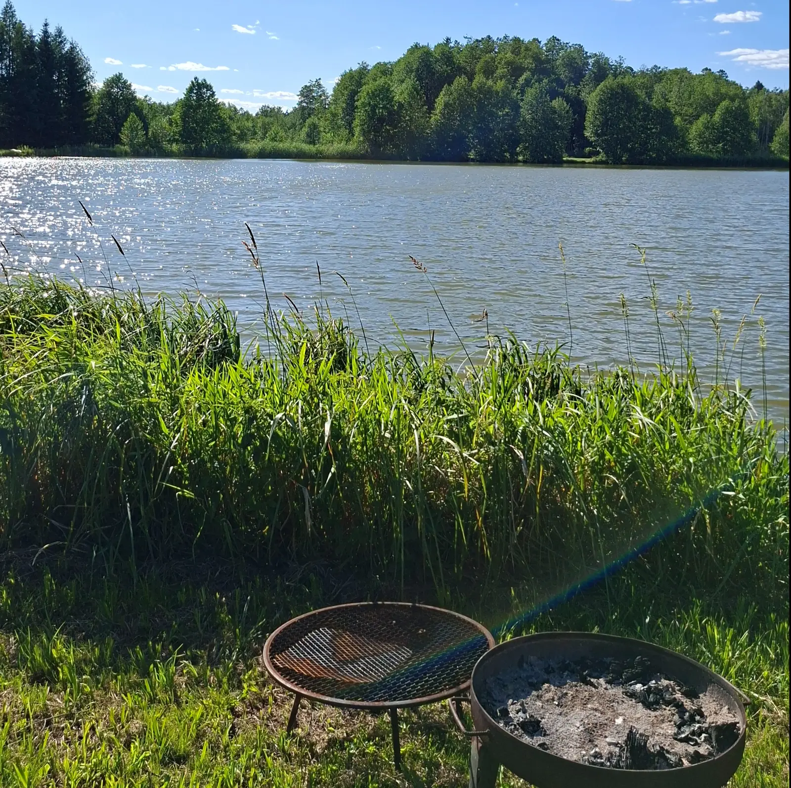 Zdjęcie przedstawia sielski krajobraz nad jeziorem w orientacji pionowej, ukazując relaksujące miejsce na wypoczynek. Na pierwszym planie, w dolnej części kadru, znajdują się dwa metalowe paleniska ogrodowe ustawione na zielonej trawie, z których jedno wypełnione jest popiołem. Środkowy plan zajmuje wysoka, soczyście zielona roślinność przybrzeżna, która płynnie przechodzi w rozległą taflę jeziora odbijającą promienie słoneczne. W tle widoczna jest gęsta linia lasu iglastego, która domyka horyzont pod błękitnym niebem z pojedynczymi, białymi chmurami. Oświetlenie zdjęcia jest słoneczne i wyraźne, co podkreśla naturalne barwy przyrody, a przez kadr przebiega delikatny efekt flary słonecznej.